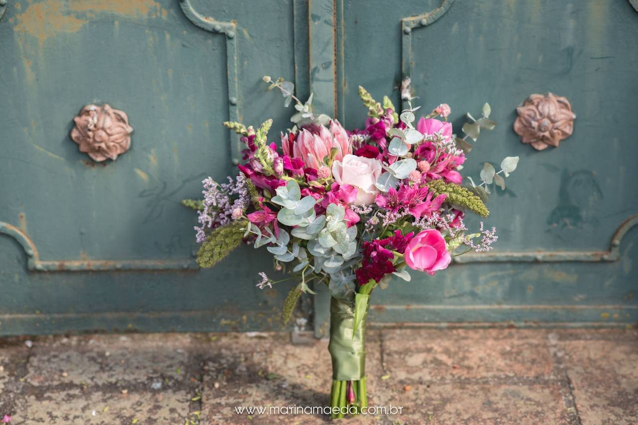 como cuidar de ciclamen no inverno dentro de casa