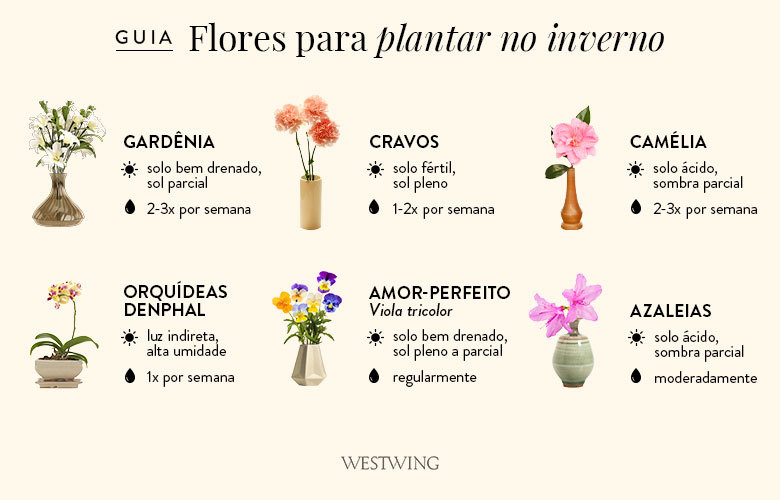 melhores flores de inverno para decorar sua casa