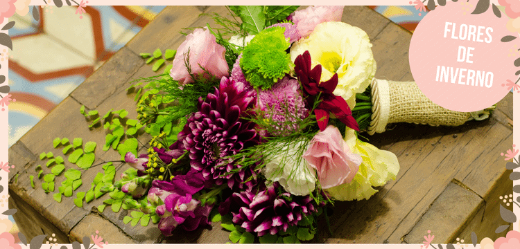 melhores flores de inverno para decorar sua casa