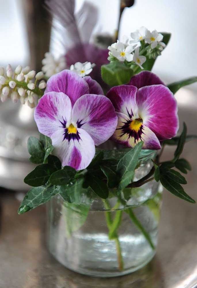 flores de inverno que morrem fácil como evitar