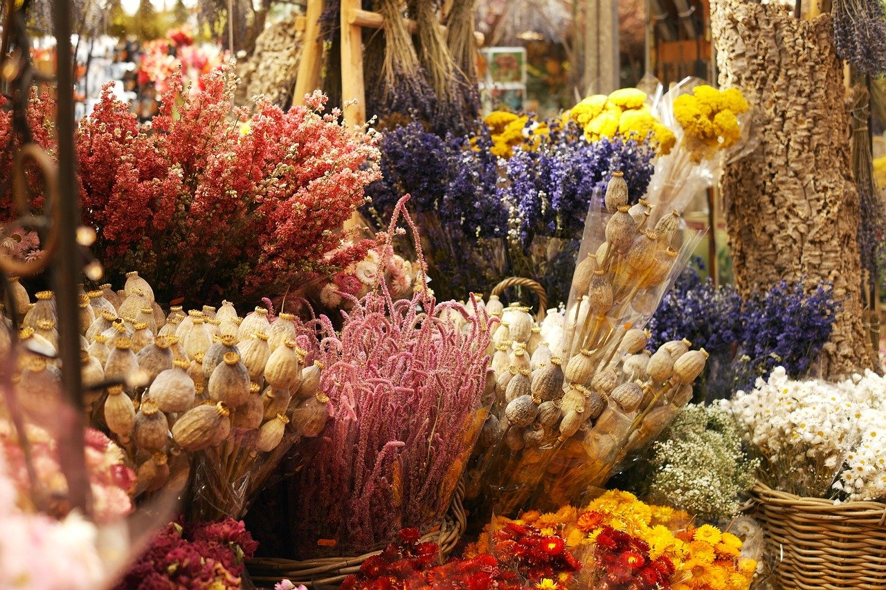 onde comprar flores secas baratas para decoração