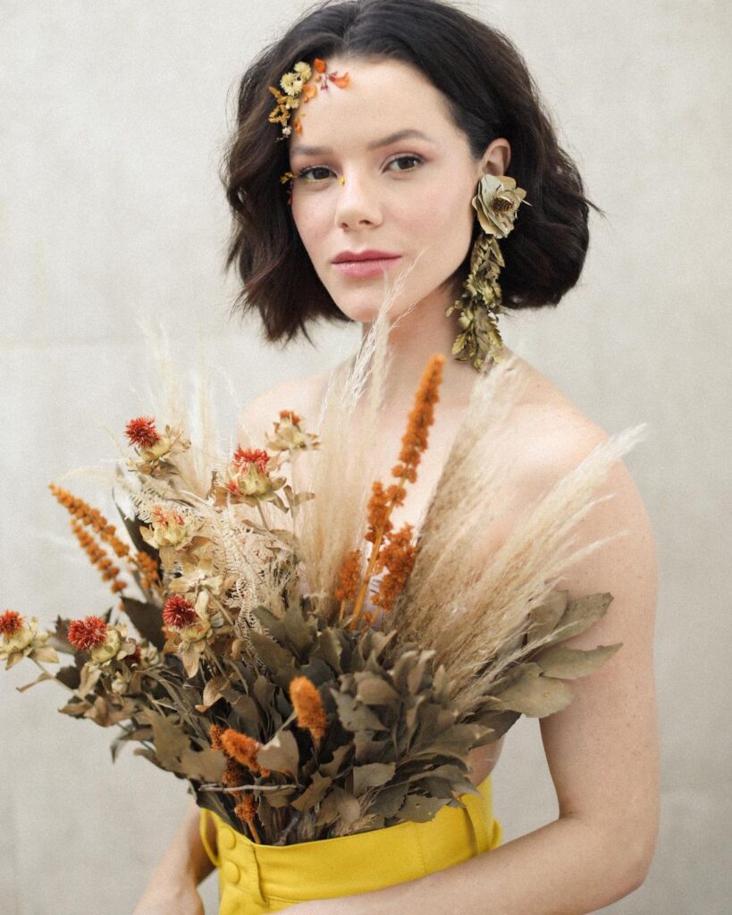 flores secas vs plantas vivas qual a melhor opção