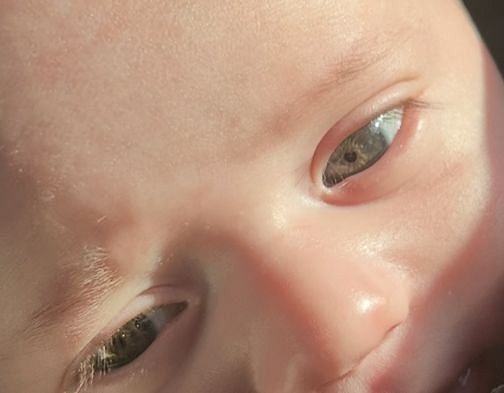 Como a Genética Determina a Cor dos Olhos do Seu Filho