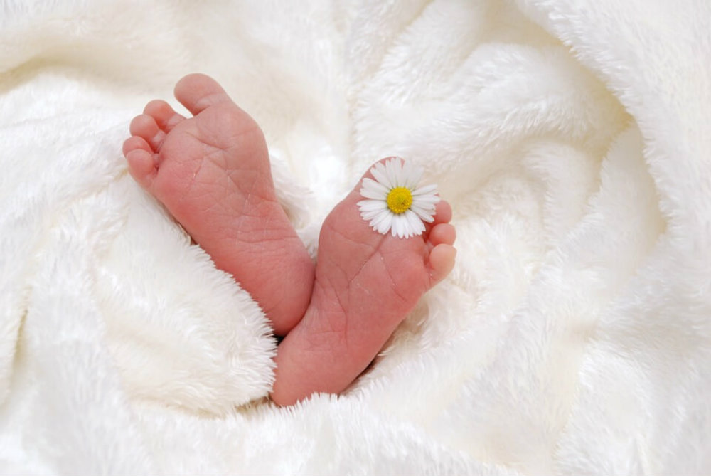 5 Dicas Essenciais para um Ensaio Newborn Perfeito
Como Escolher o Melhor Fotógrafo Newborn
Ideias Criativas de Poses para Fotos de Recém-Nascidos
Segurança em Primeiro Lugar: Cuidados no Ensaio Newborn
O Que Levar para um Ensaio Fotográfico de Bebê