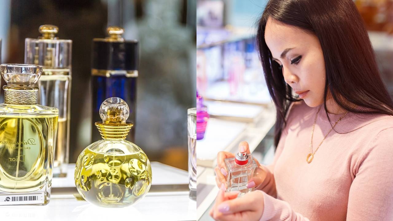 perfume importado feminino vs masculino qual escolher