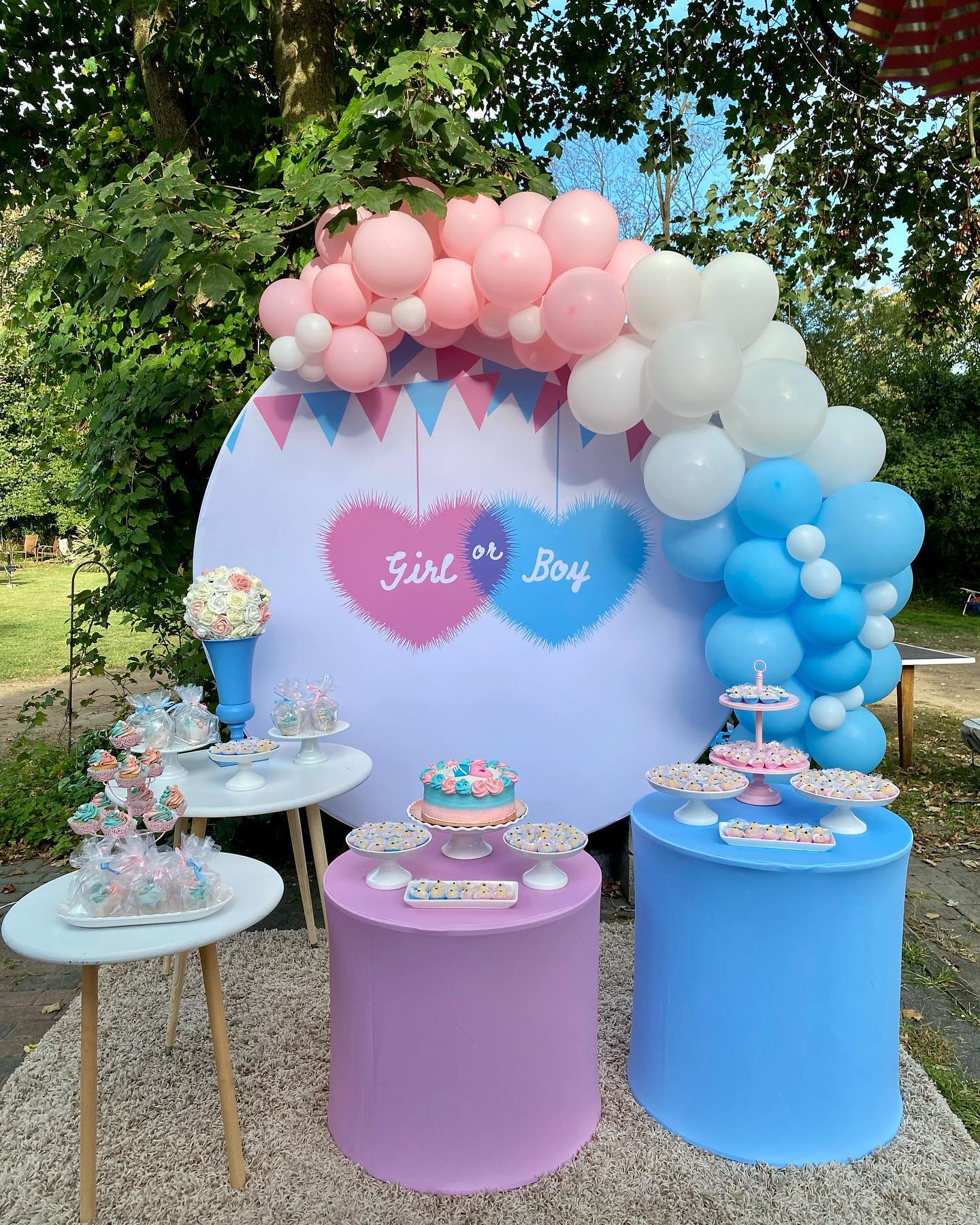 inspiração fotos decoração chá revelação