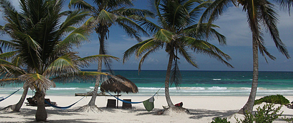 transporte seguro méxico