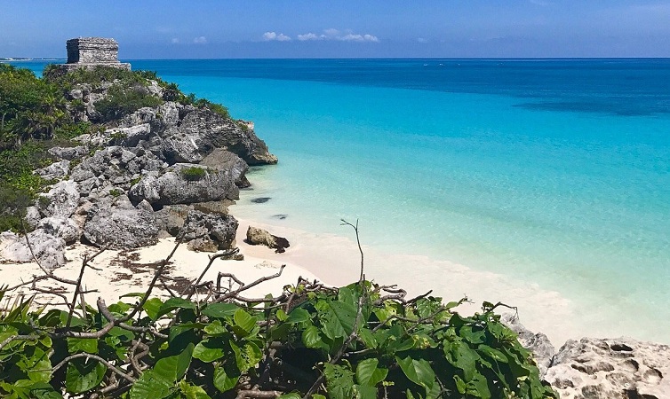 transporte seguro méxico