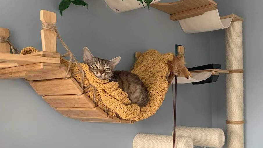 5 Ideias Criativas de Nichos para Cães em Móveis