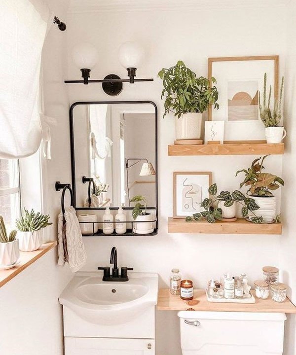 plantas ideais para banheiro com pouca luz natural