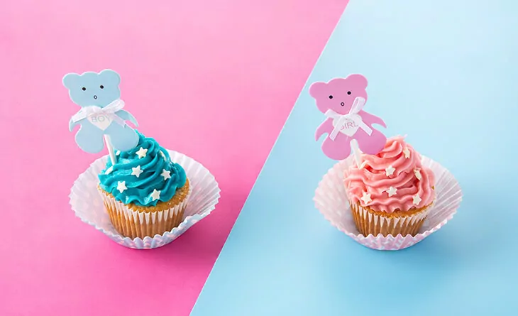 decoração chá de fraldas boho vs safari