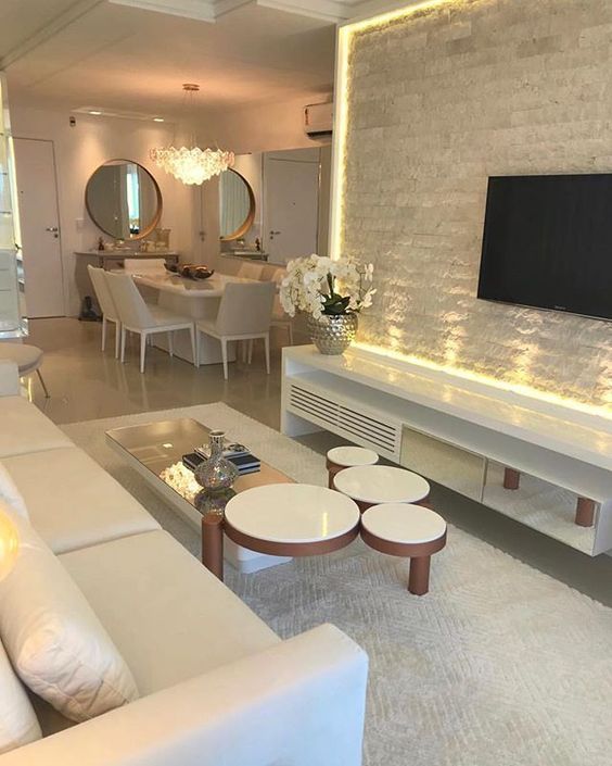 melhores plantas para sala de estar com pouca luz