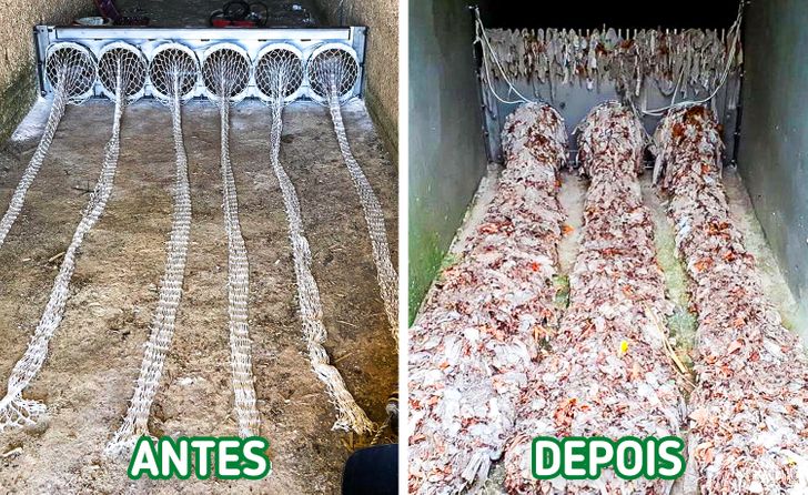 10 Projetos DIY Incríveis com Garrafas PET e Materiais Reciclados