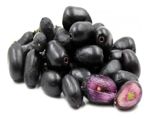jambolão para diabetes
