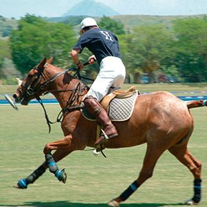 Looks para assistir corrida de cavalos ou polo