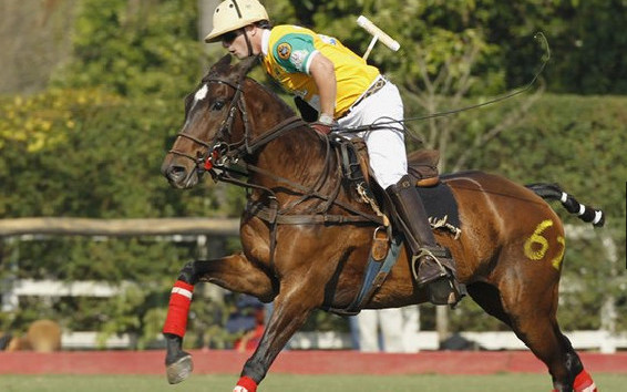 o que vestir para corrida de cavalos