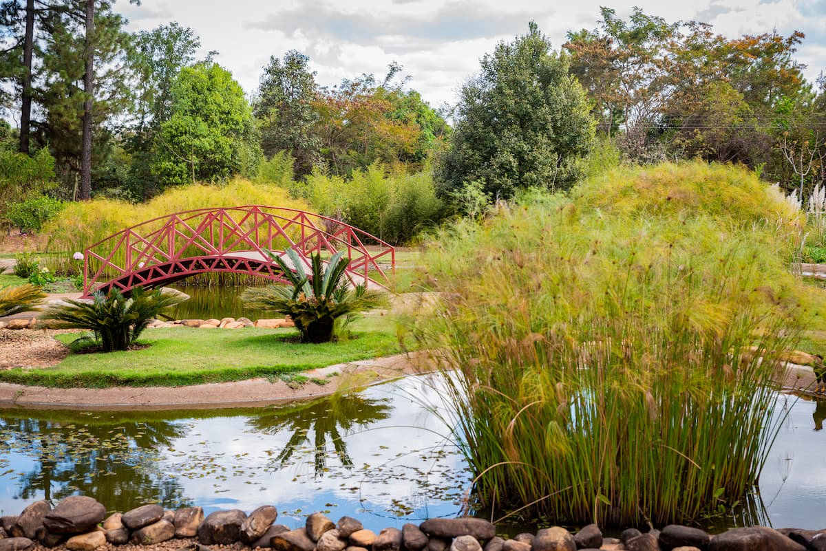 look para jardim botânico