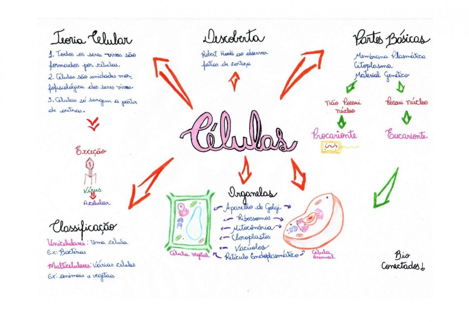 mapa mental citologia completa