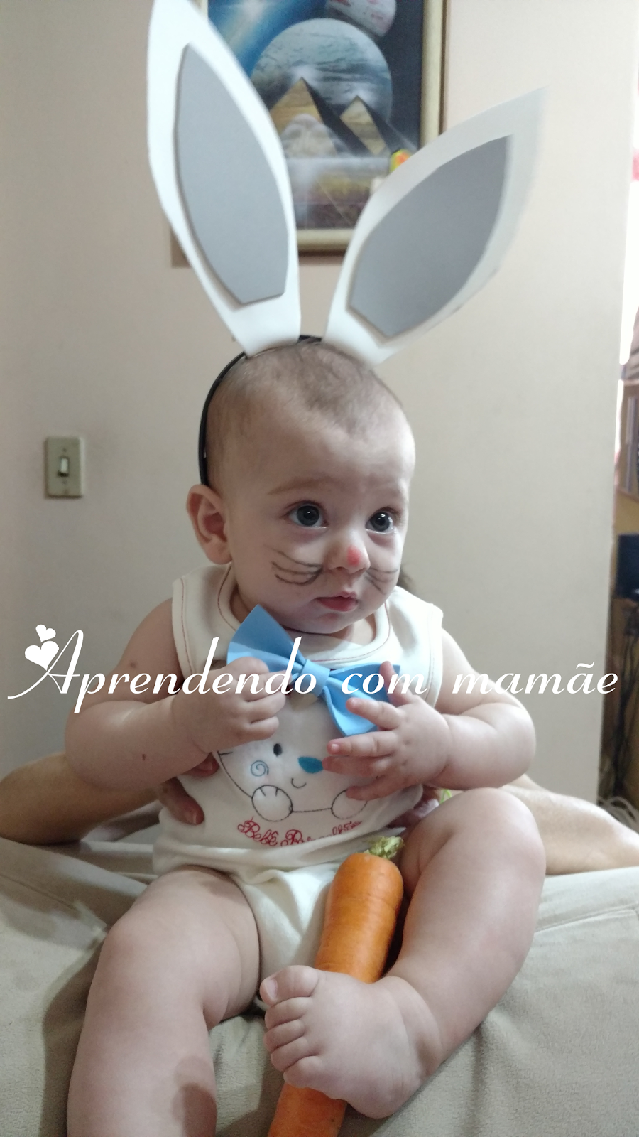 maquiagem coelho carnaval