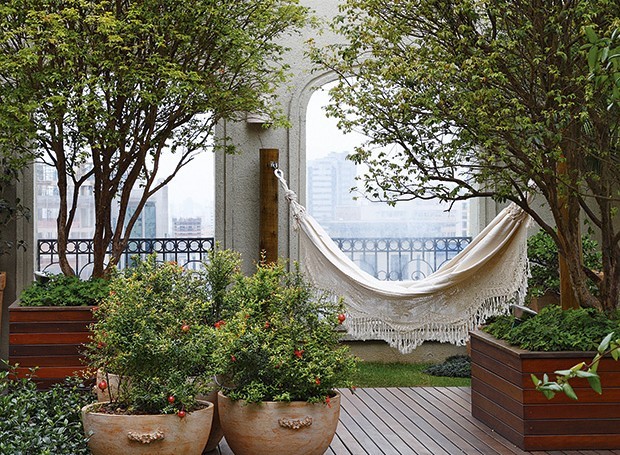 Guia completo de adubação para frutíferas em vasos