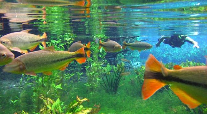 Como planejar sua viagem solo feminina para Bonito (MS)