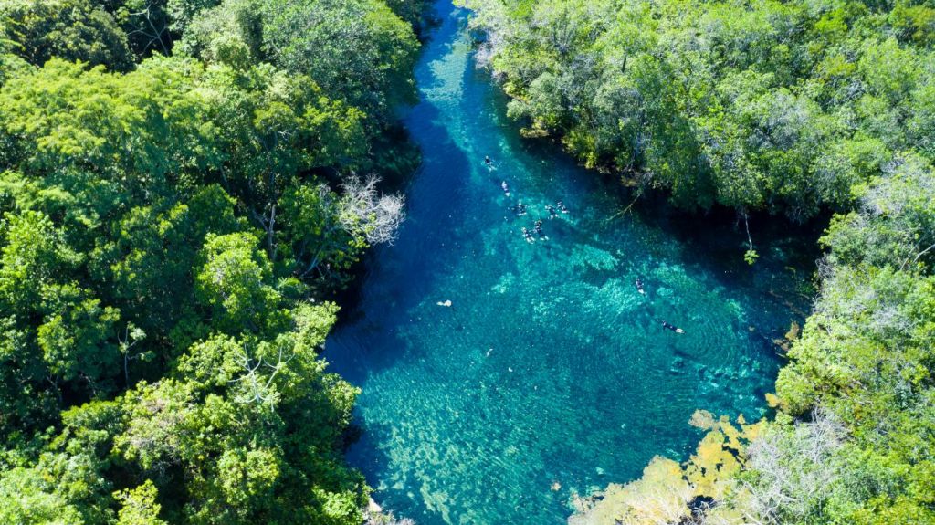 Flutuações em Bonito: qual a melhor para iniciantes e mulheres?