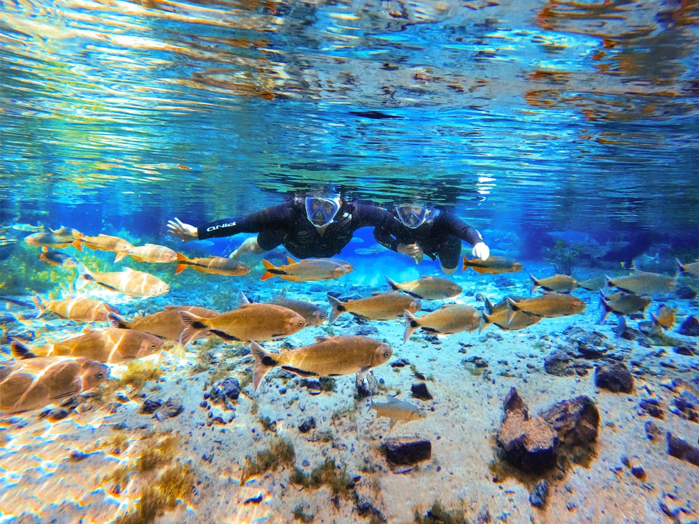 Flutuações em Bonito: qual a melhor para iniciantes e mulheres?