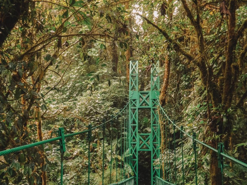 Cultura Caribenha e Segurança: Dicas Essenciais para Puerto Viejo de Talamanca