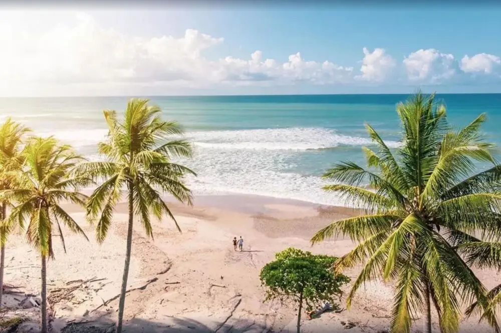Aventura e Bem-Estar: Roteiro de 7 Dias por Santa Teresa e Nosara para Viajantes Solo