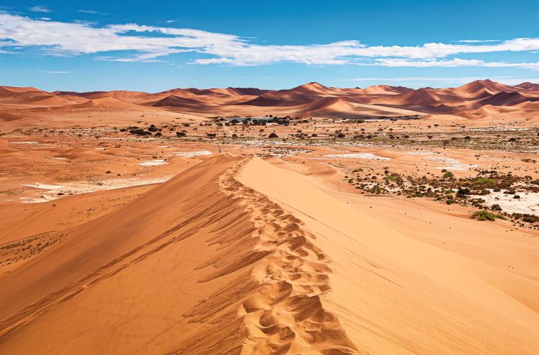 Comparativo: Namíbia vs Botswana para sua primeira viagem solo à África