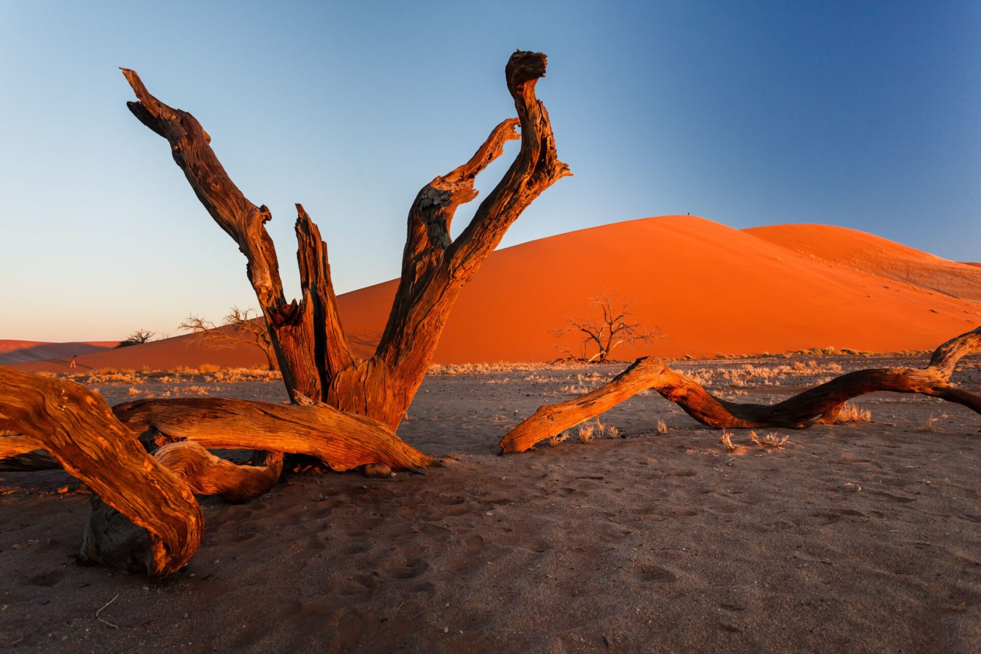 Dicas essenciais de segurança para mulheres viajando na África