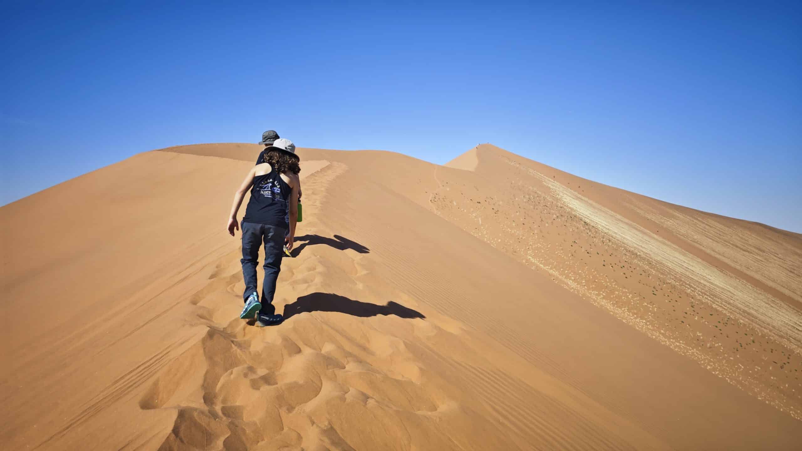 Os melhores lodges para viajantes solo no Delta do Okavango