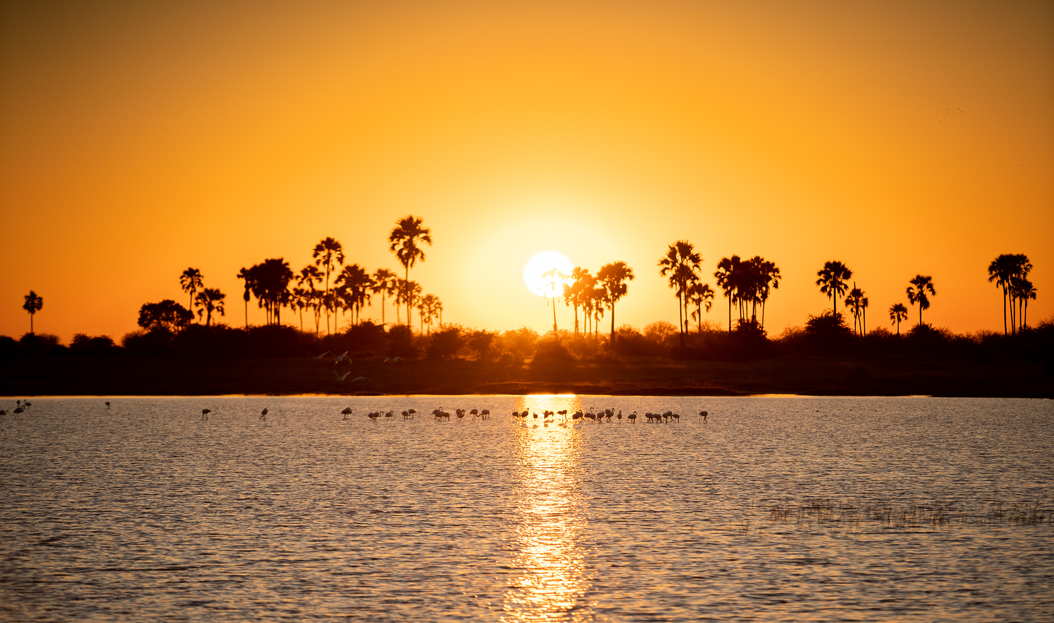 Dicas essenciais de segurança para mulheres viajando na África