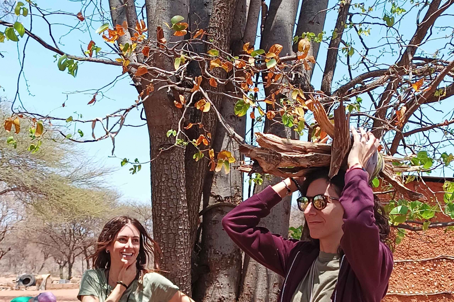 Comparativo: Namíbia vs Botswana para sua primeira viagem solo à África