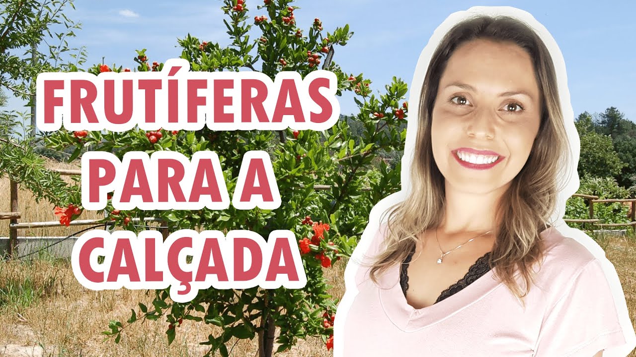 Melhores frutíferas para plantar direto no chão do jardim