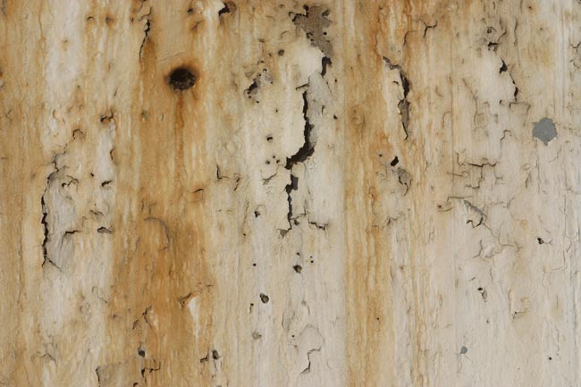 qual a melhor massa para parede interna