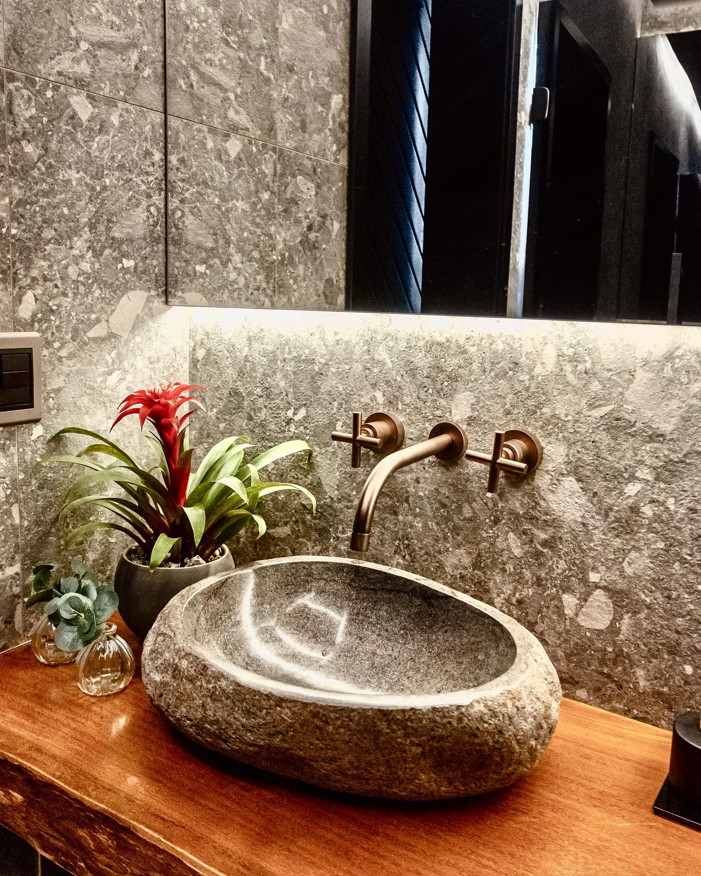 plantas para banheiro com pouca luz natural