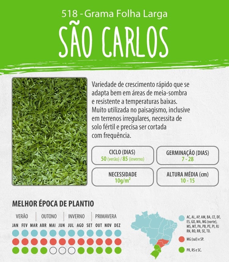 Dicas Essenciais para o Cultivo de Grama em Ambientes com Pouca Luz Solar