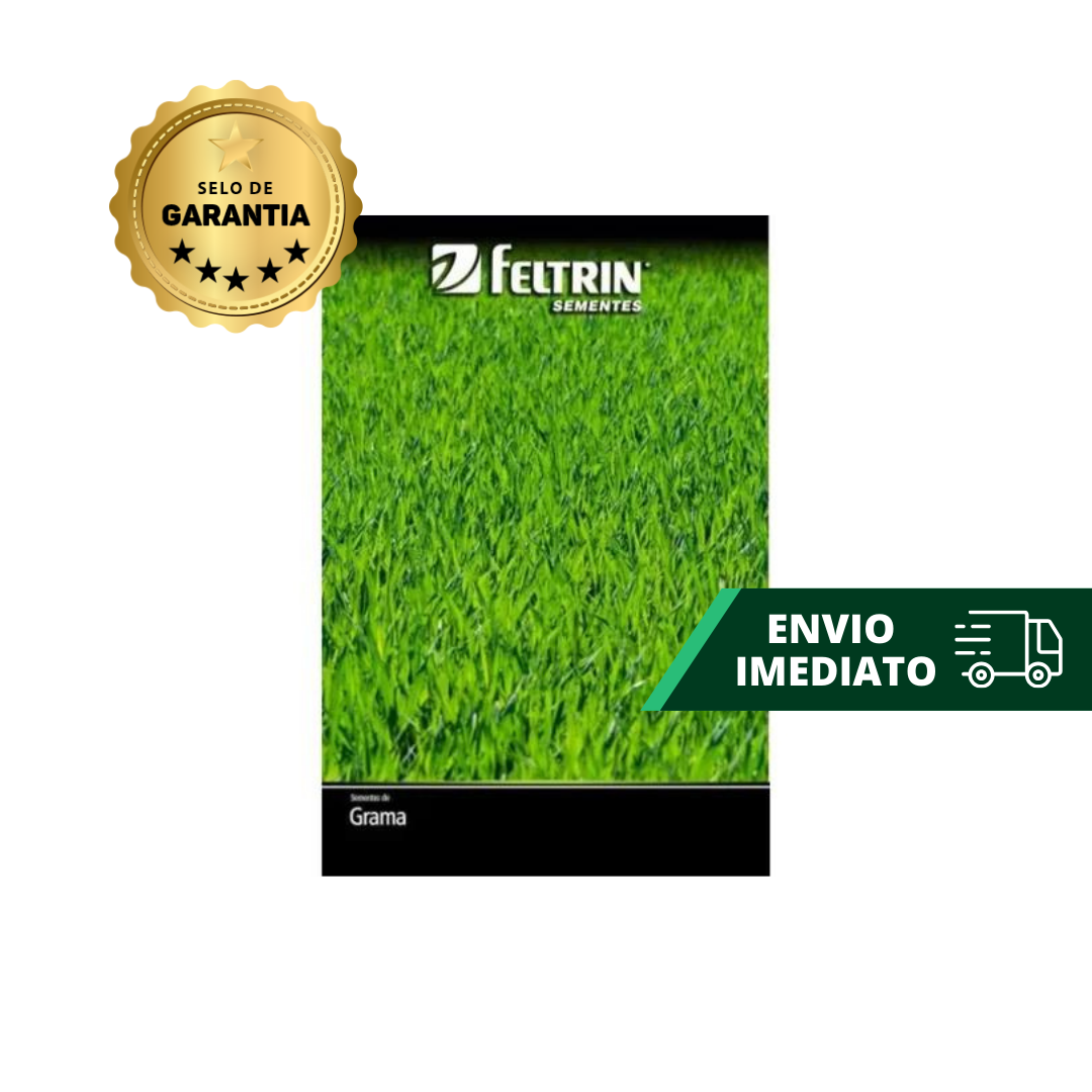 Manejo do Solo e Irrigação para Gramados em Áreas Frias e Sombreadas