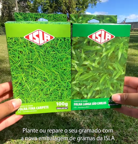 Grama São Carlos vs. Grama Esmeralda: Qual a Melhor para Áreas Sombreadas?