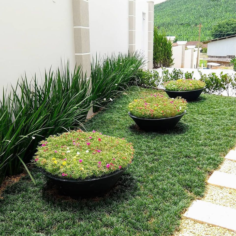 Melhores tipos de grama para jardim com sombra