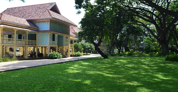 Grama Amendoim e Esmeralda: Comparativo para Jardins com Diferentes Exposições ao Sol