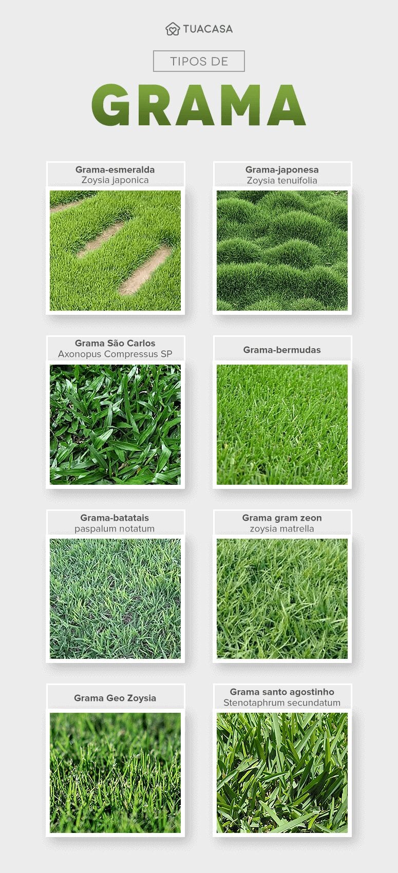 Grama Sintética: A Solução Definitiva para Áreas de Sombra Total