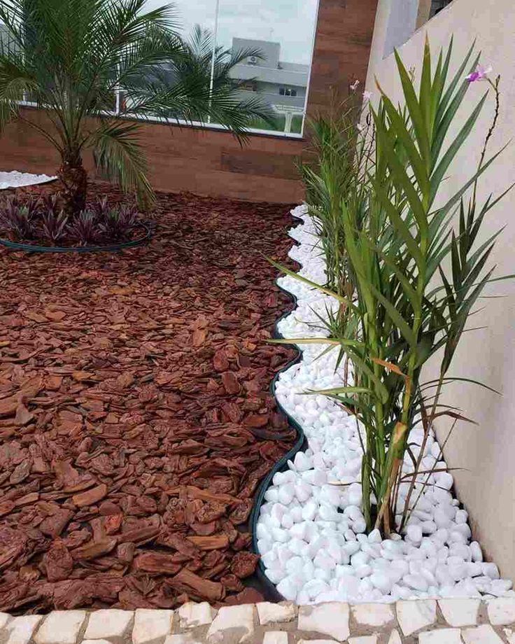 Plantas Ideais para Combinar com Pedras em Jardins de Inverno