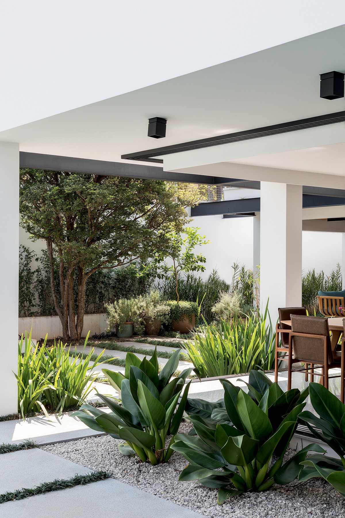 Guia Completo de Drenagem para Vasos com Argila Expandida