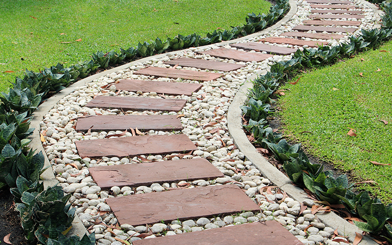 Guia Completo de Drenagem para Vasos com Argila Expandida