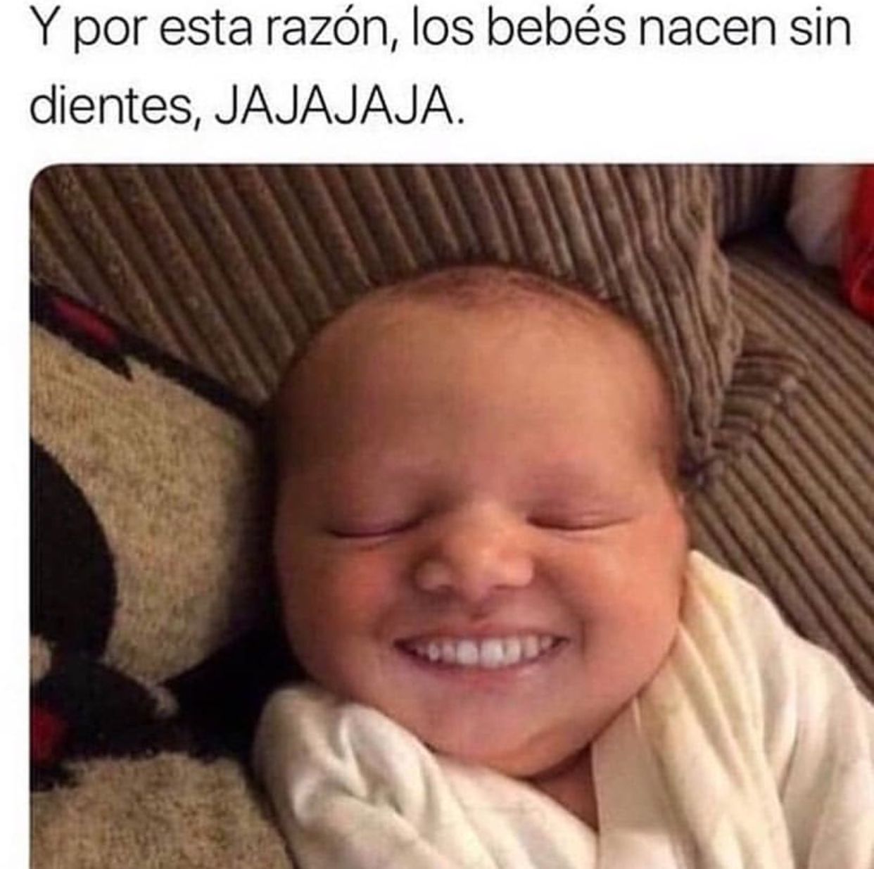 Bebês Reborn: Fascinante ou Bizarro? A Trend Que Virou Meme