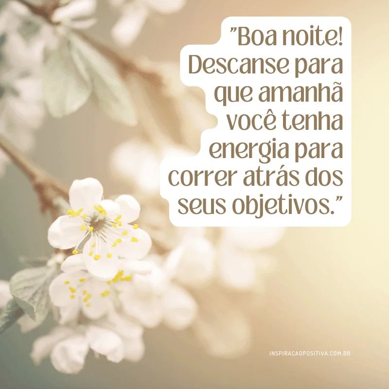 citações de boa noite para atrair novas oportunidades