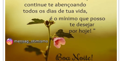 frases de boa noite com foco em paz interior