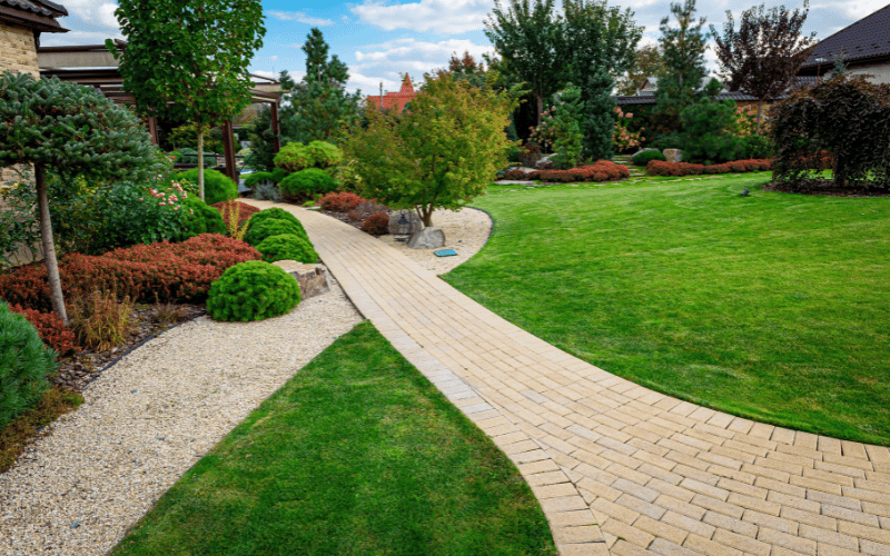 plantas para paisagismo residencial